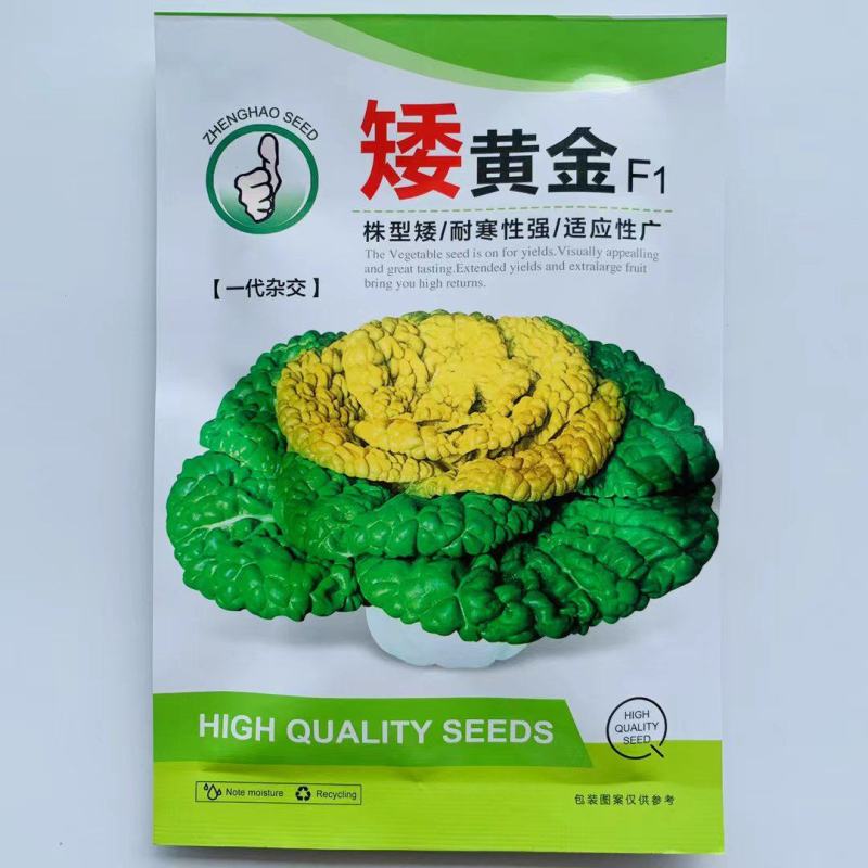 乌塌菜种子株型矮耐寒性强！适应性广黄心乌塌菜种子