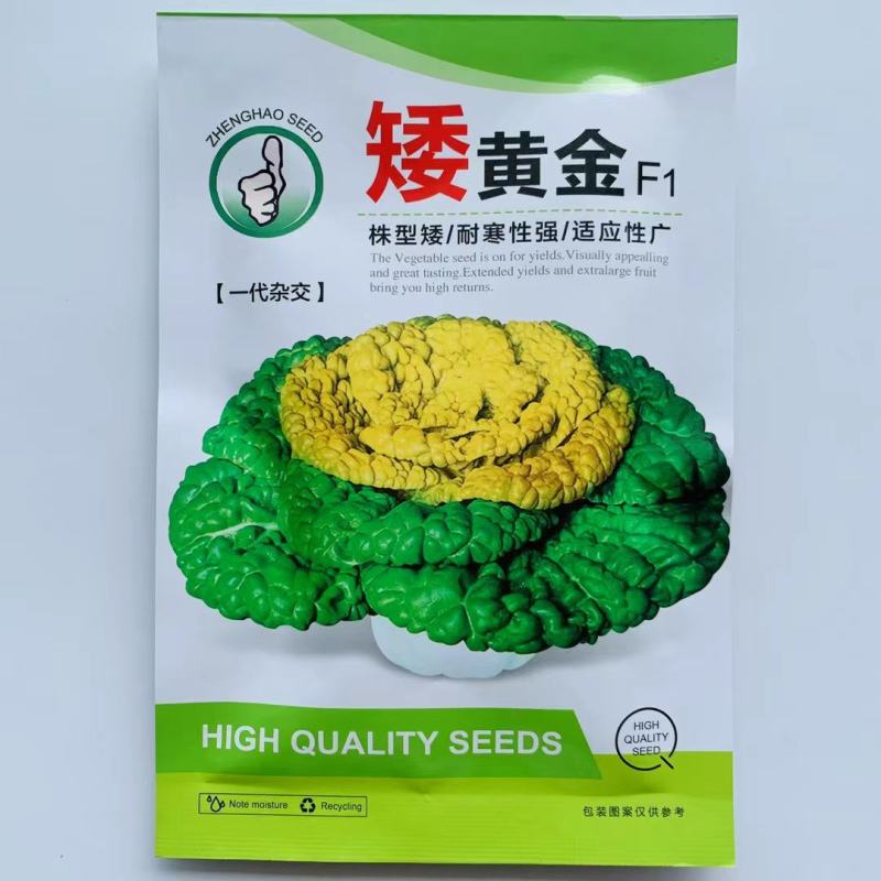 乌塌菜种子株型矮耐寒性强！适应性广黄心乌塌菜种子