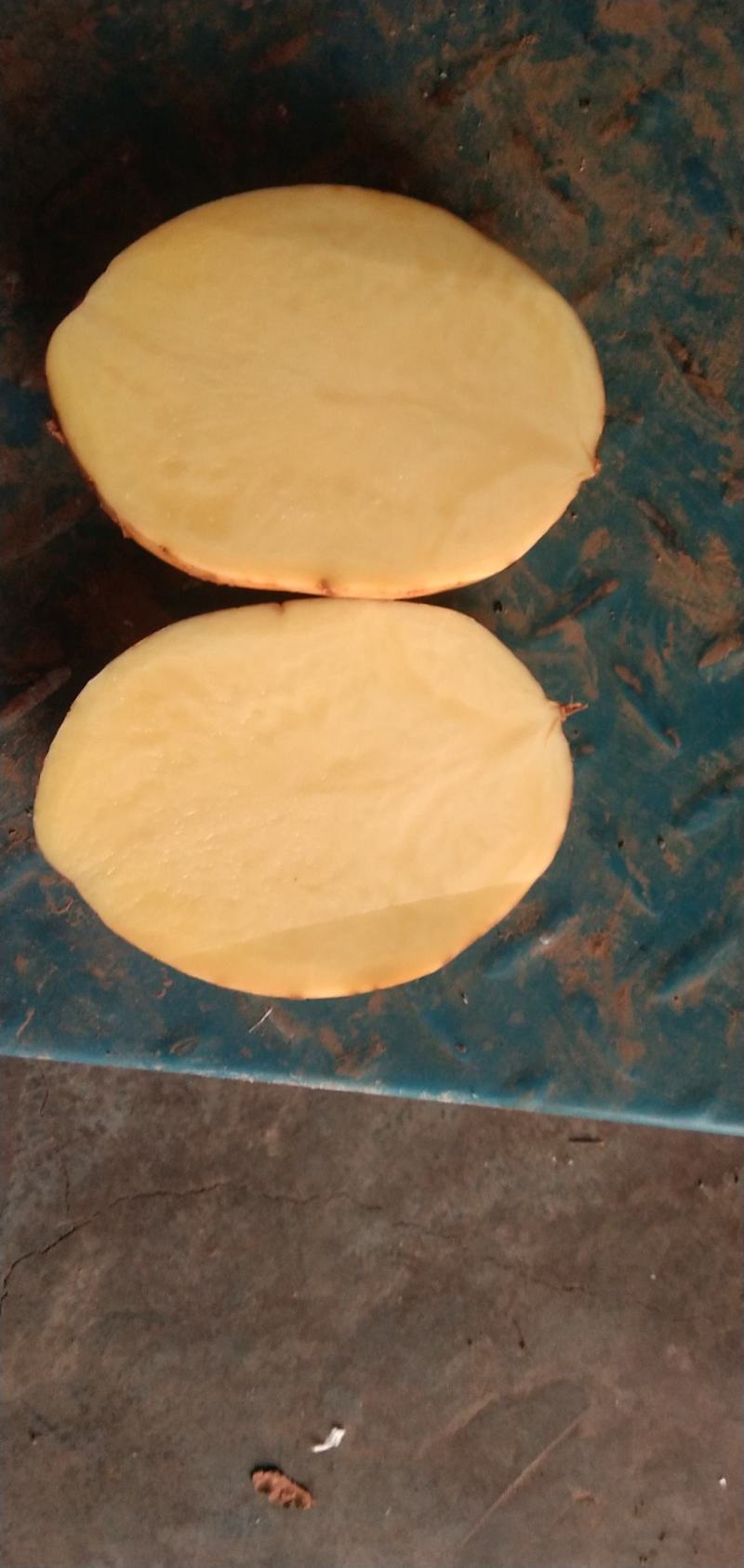 贵州威宁土豆威芋五号黄皮黄心！！！！！！！！