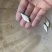 鲫鱼
