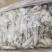 原装笔管鱼笔管鱼母体含量35%