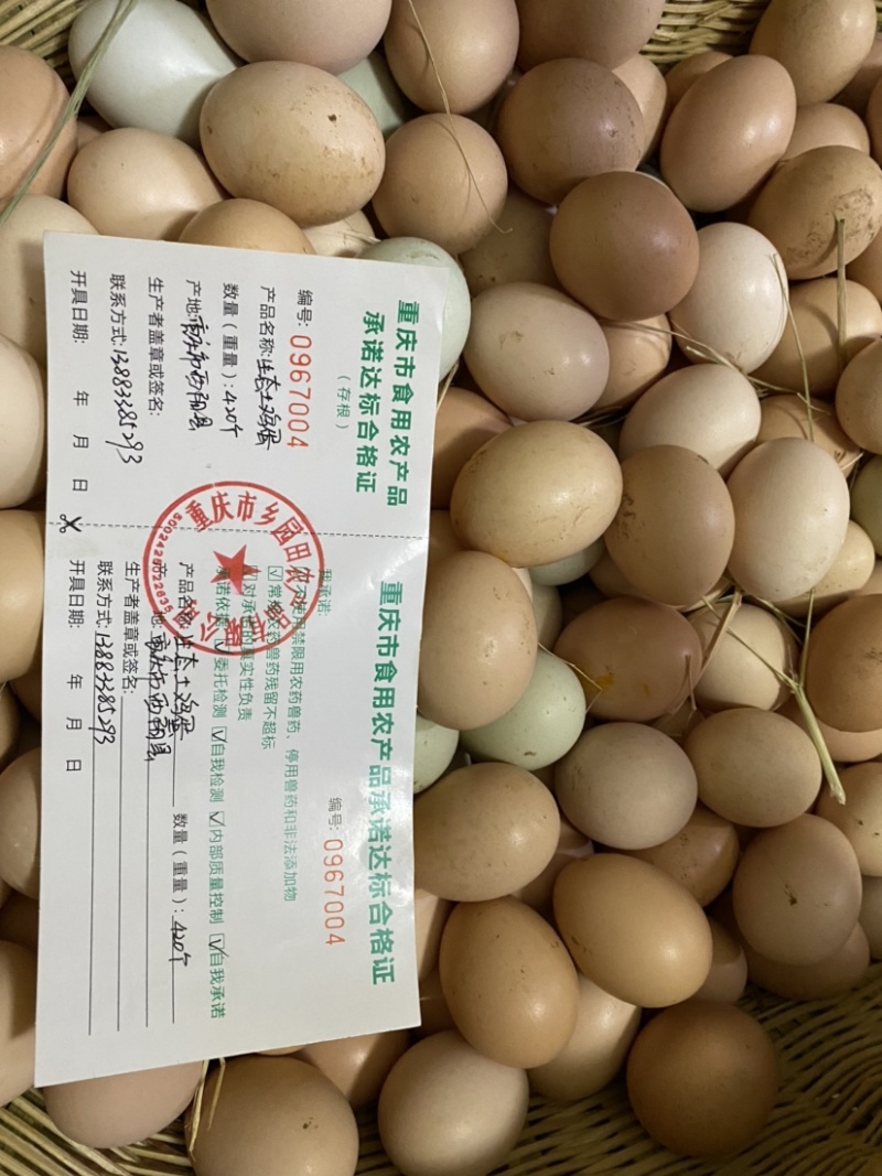 散养生态初生蛋，重庆主城区送货上门