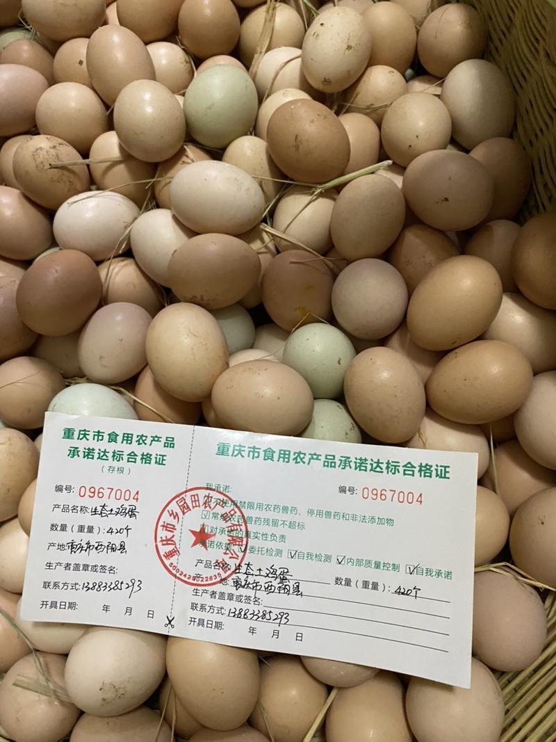 散养生态初生蛋，重庆主城区送货上门