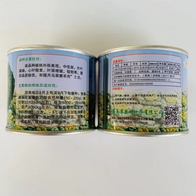黄心乌塌菜种子基地专用品种耐寒矮棵产量高口感好