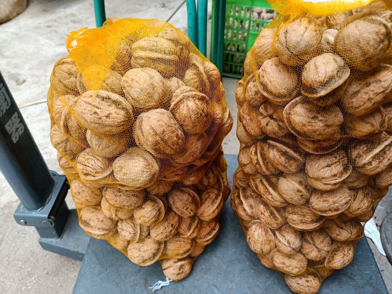 青皮核桃