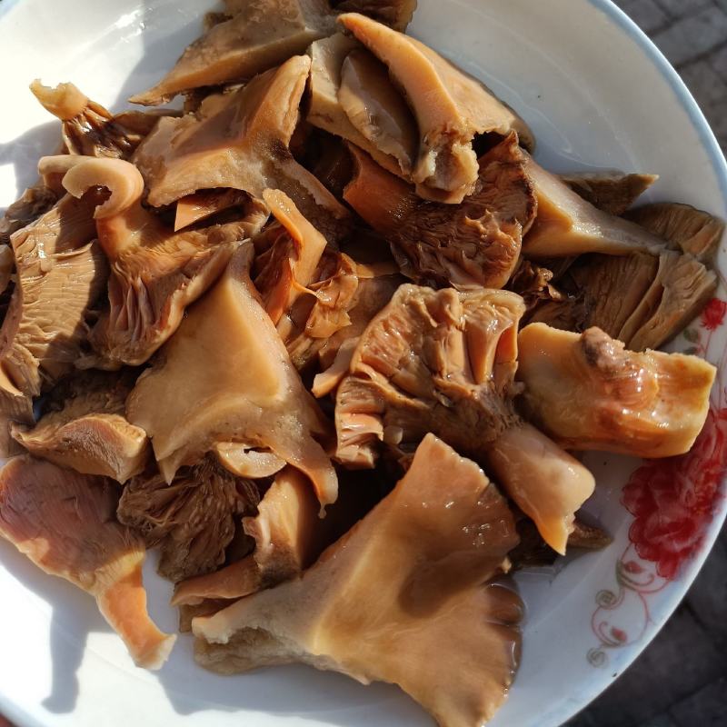 新鲜腌制清水重阳菌松树菌寒菌谷熟菌袋装枞菌