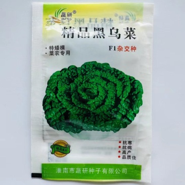 乌塌菜种子一代杂交黑乌塌菜抗病抗寒纤维少口感好耐老抽苔迟