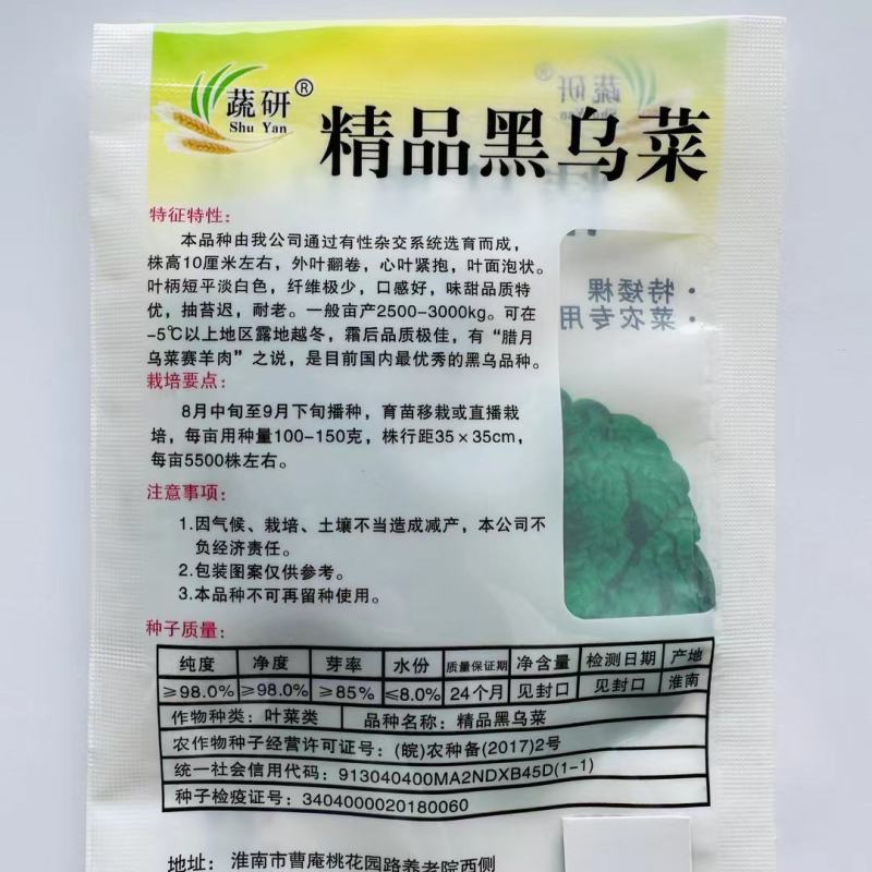 乌塌菜种子一代杂交黑乌塌菜抗病抗寒纤维少口感好耐老抽苔迟
