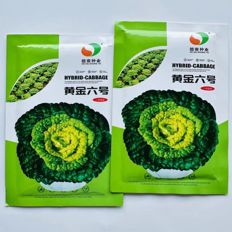 乌塌菜种子一代杂交黑乌塌菜抗病抗寒纤维少口感好耐老抽苔迟