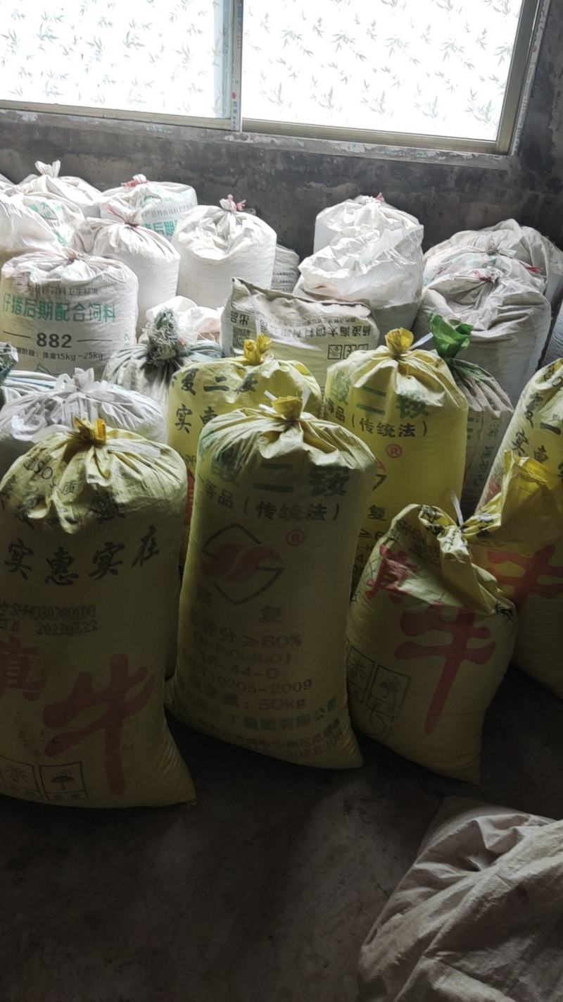 油肉牡丹籽2023年新货基地直供诚信经营视频看货