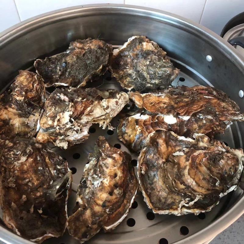 生蚝