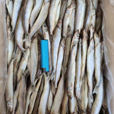 多春鱼，价格便宜，品质好，货源充足，欢迎咨询