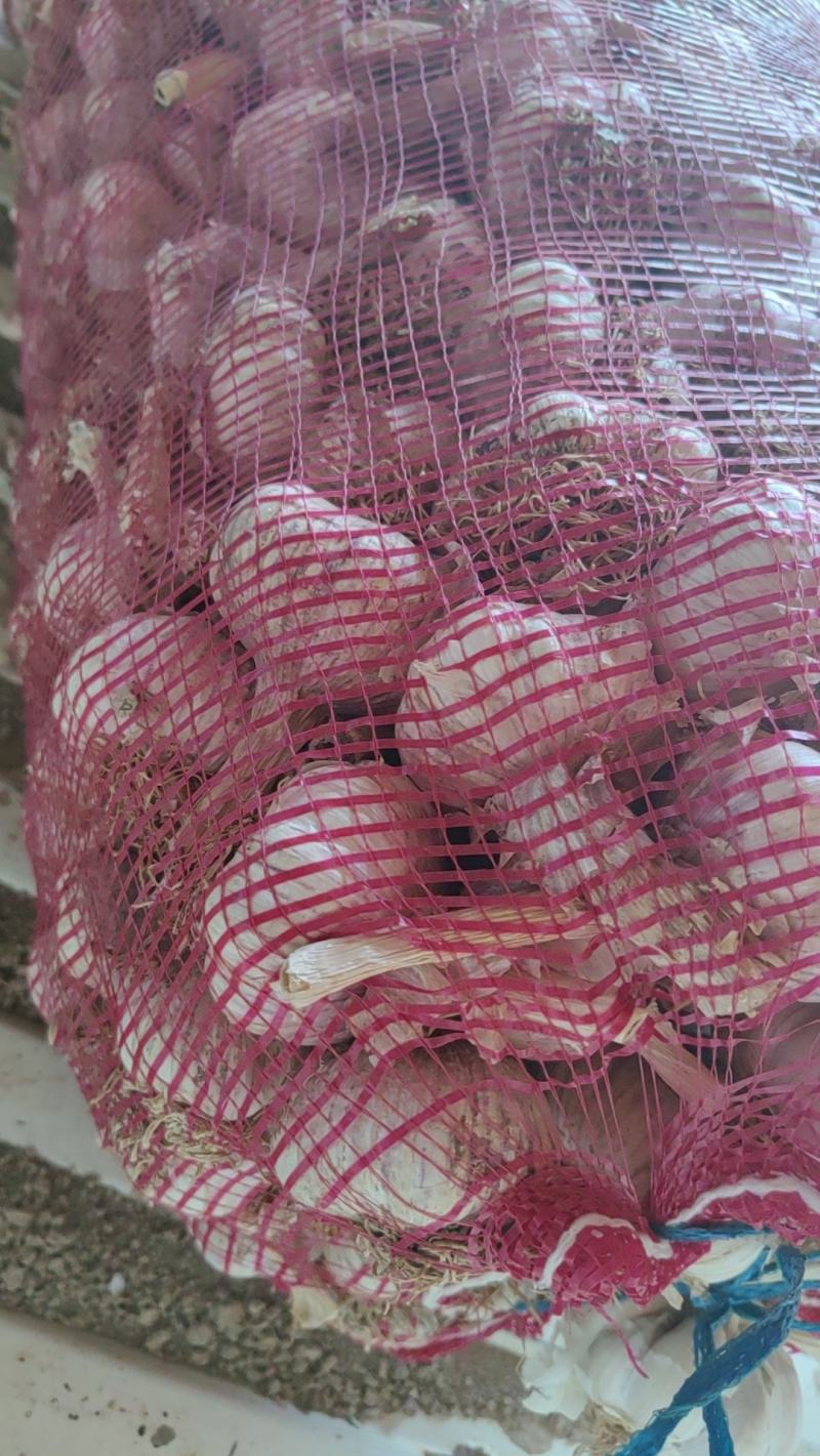 脱水四六瓣蒜米料包装货市场货商超货