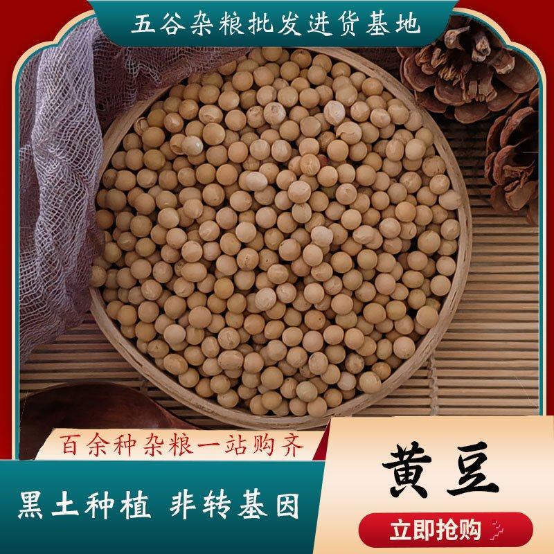 东北大小黄豆安徽黄豆豆浆豆做豆腐做馅料全国发货