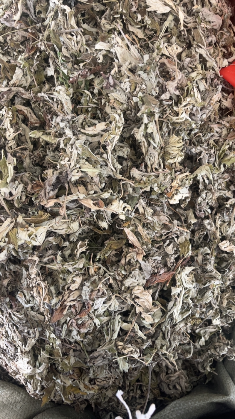 艾叶大艾叶可代打艾绒，有两年三年陈艾少量