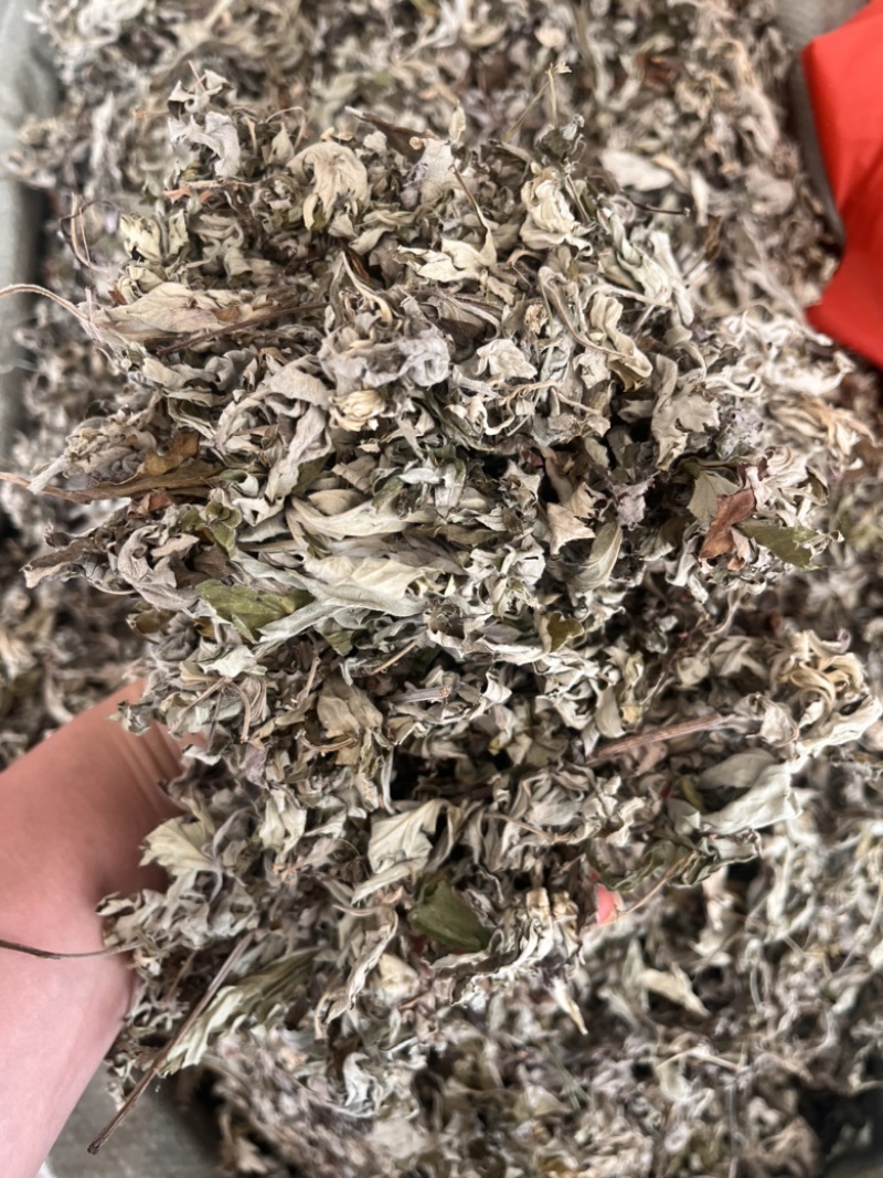 艾叶大艾叶可代打艾绒，有两年三年陈艾少量