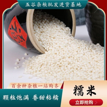 圆糯米东北糯米安徽糯米包粽子糯米饭糯米酒