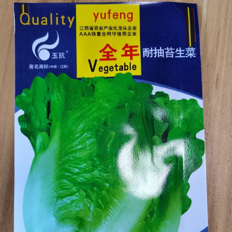 意大利耐抽苔生菜种子耐热耐寒四季可种植生菜种子基地用种子
