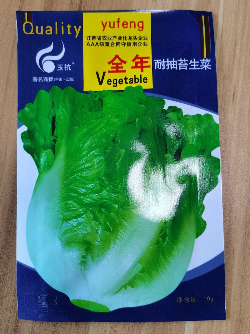 意大利耐抽苔生菜种子耐热耐寒四季可种植生菜种子基地用种子
