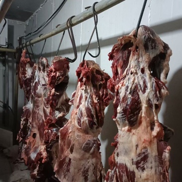 纯干牛肉