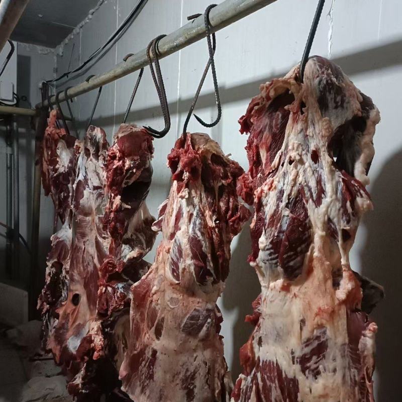 纯干牛肉