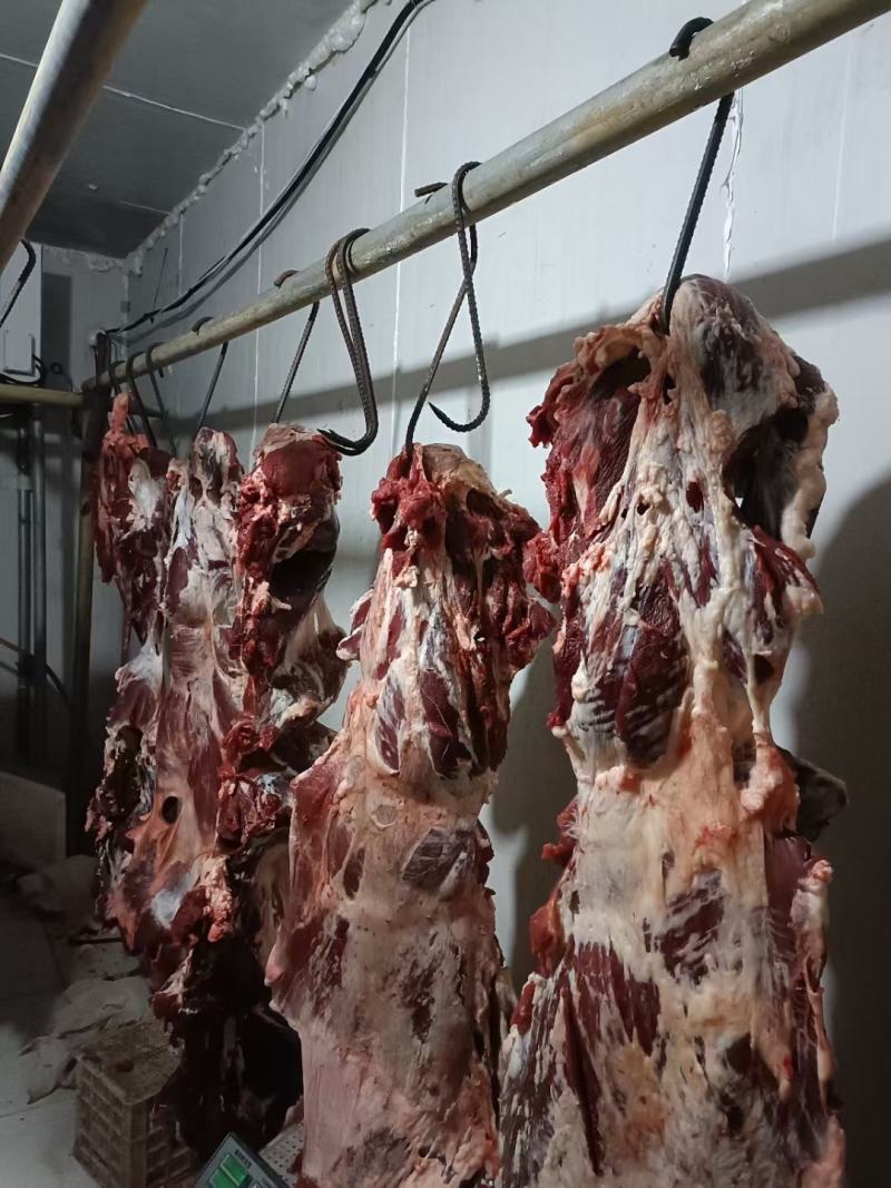 纯干牛肉