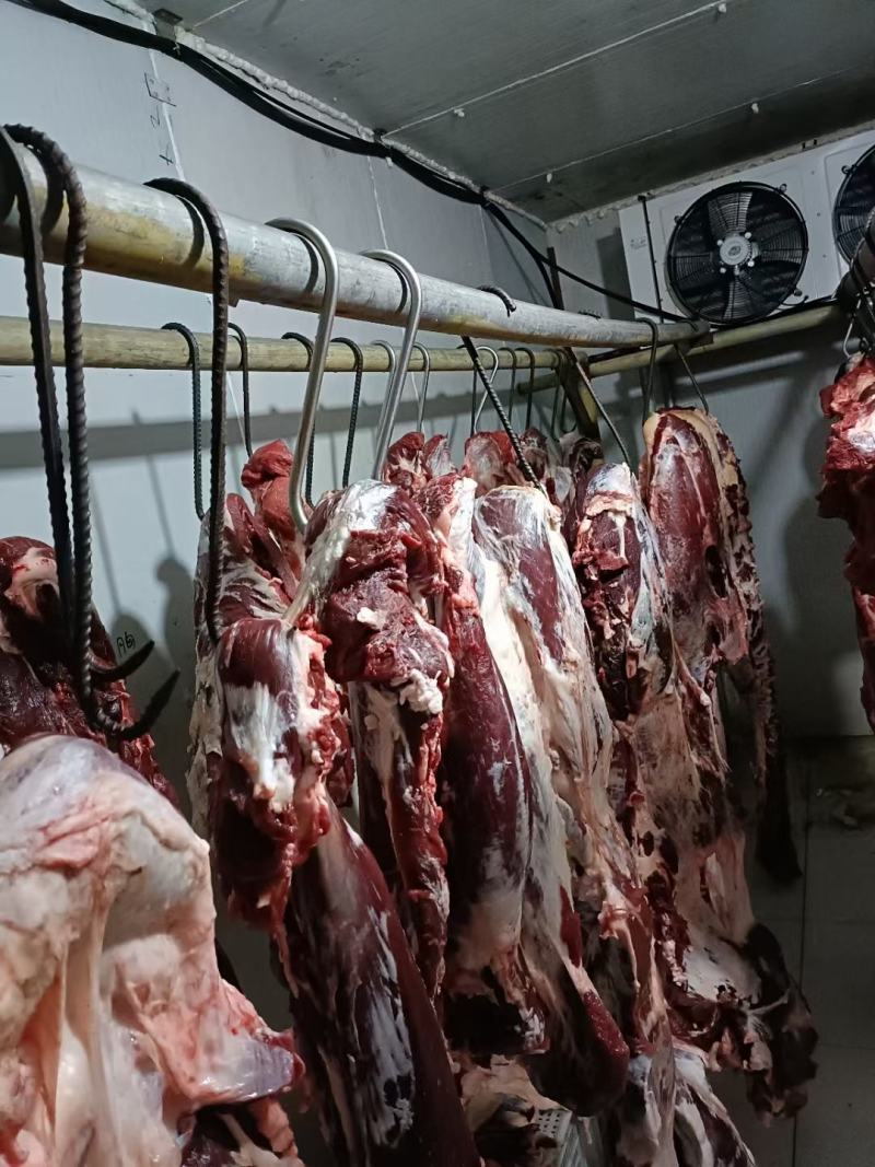 纯干牛肉