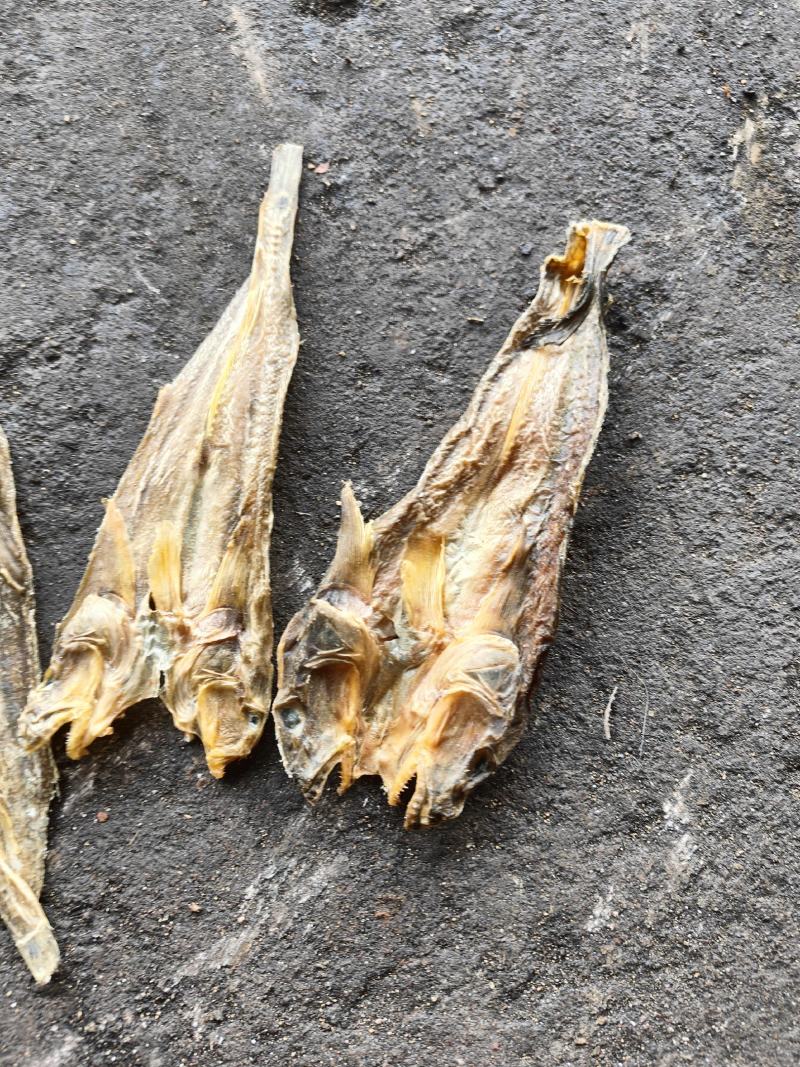 雷鱼干，干度好，淡干，全干货，煎，炒，炸，炖，煮，生吃，