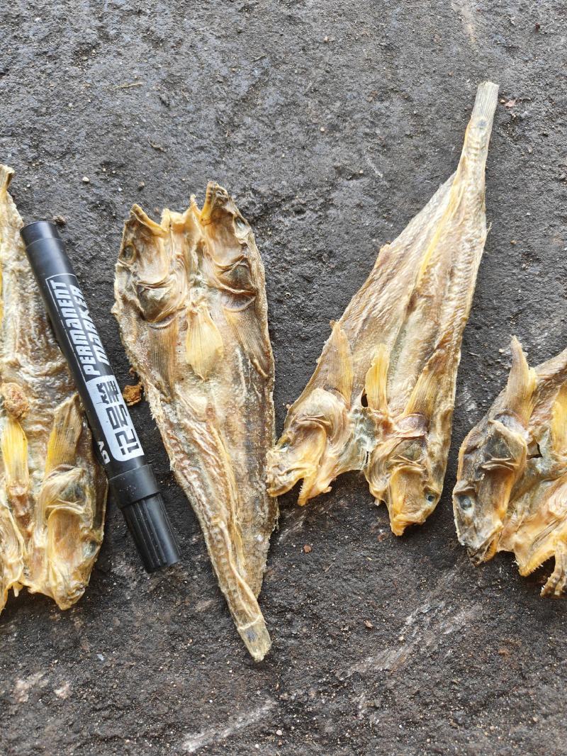 雷鱼干，干度好，淡干，全干货，煎，炒，炸，炖，煮，生吃，