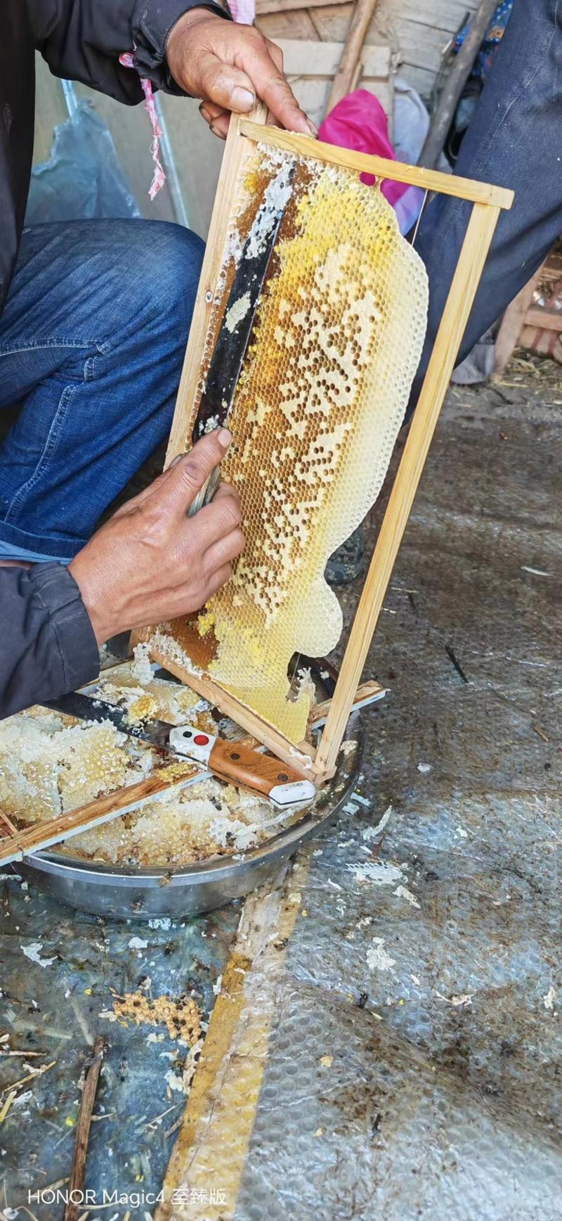 精品土蜂蜜农家自产正宗品质保障新鲜牛商推荐