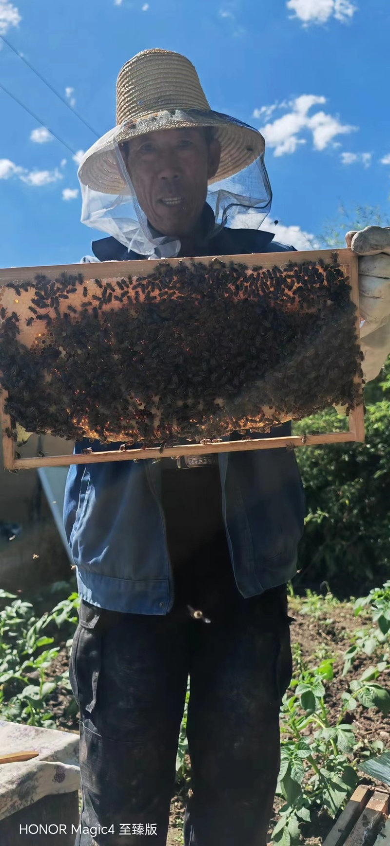 精品土蜂蜜农家自产正宗品质保障新鲜牛商推荐