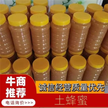 精品土蜂蜜农家自产正宗品质保障新鲜牛商推荐