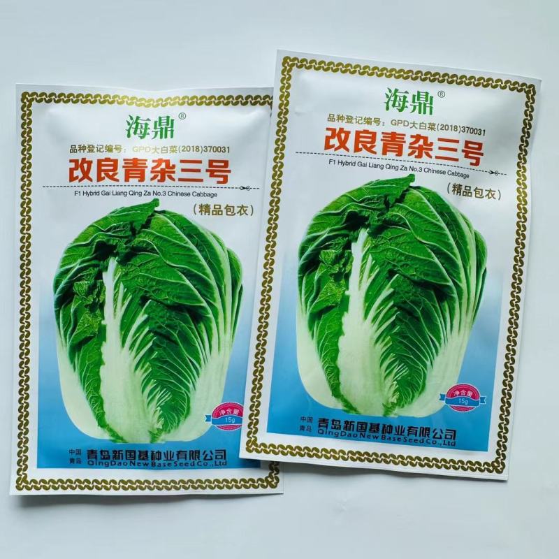 改良青杂三号白菜种子中晚熟叶球短圆筒形丰产抗病耐贮藏