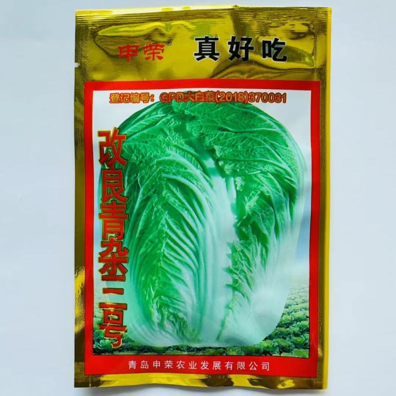 改良青杂三号白菜种子中晚熟叶球短圆筒形丰产抗病耐贮藏