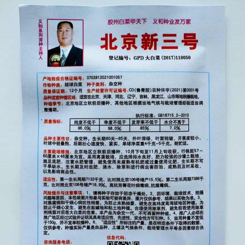 改良青杂三号白菜种子中晚熟叶球短圆筒形丰产抗病耐贮藏