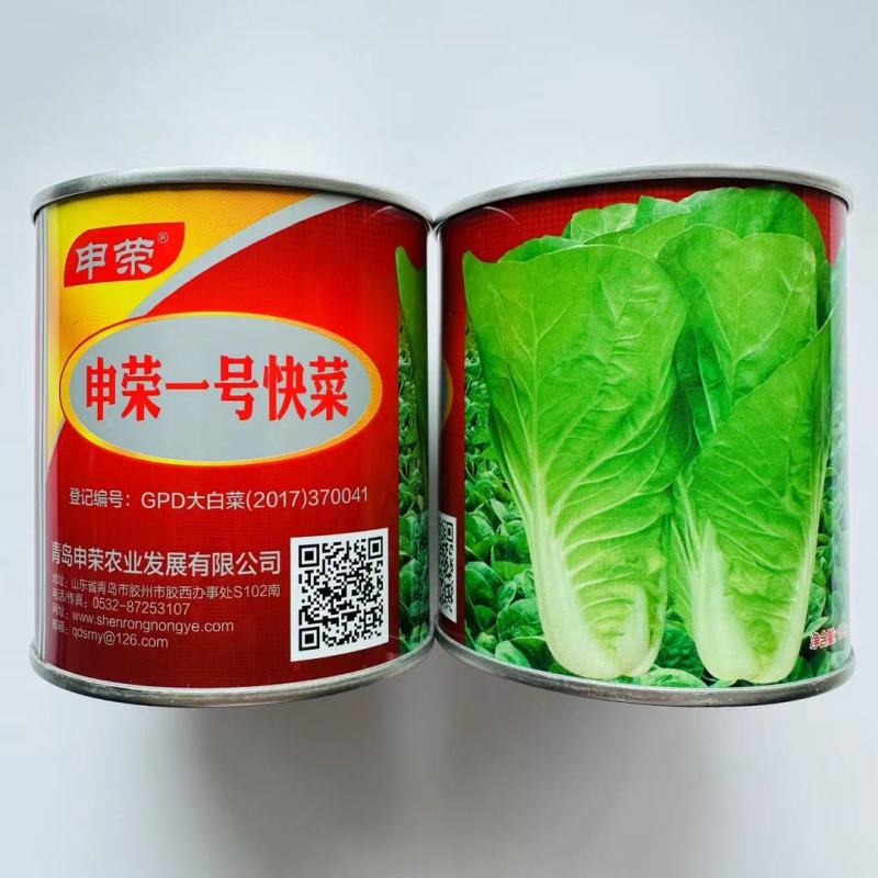 申荣快菜种子杂交白菜种子生长速度快上市早商品性好