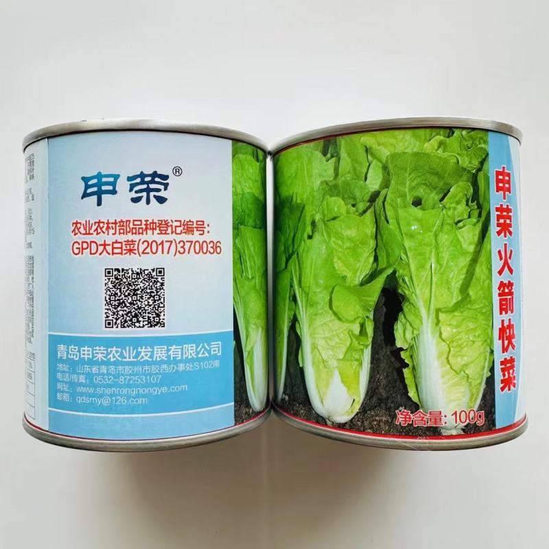 申荣快菜种子杂交白菜种子生长速度快上市早商品性好