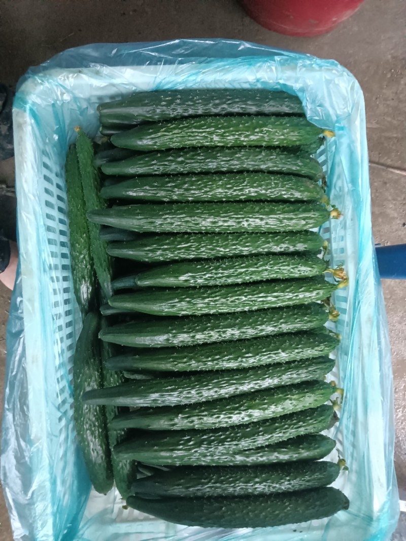 资产自销卖完就完