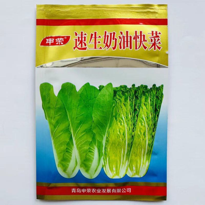 速生奶油快菜种子杂交白菜种子生长速度快口感好
