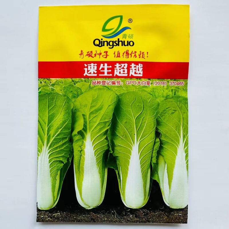 速生奶油快菜种子杂交白菜种子生长速度快口感好
