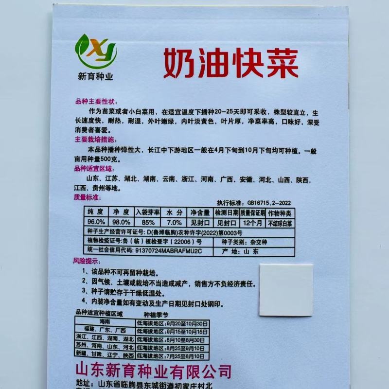 速生奶油快菜种子杂交白菜种子生长速度快口感好