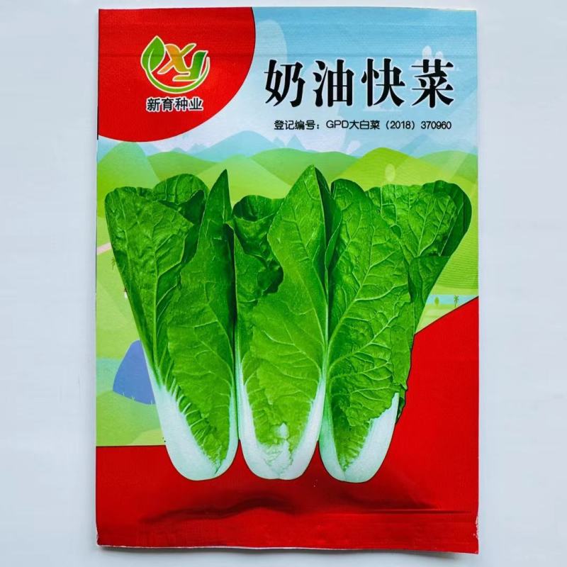速生奶油快菜种子杂交白菜种子生长速度快口感好