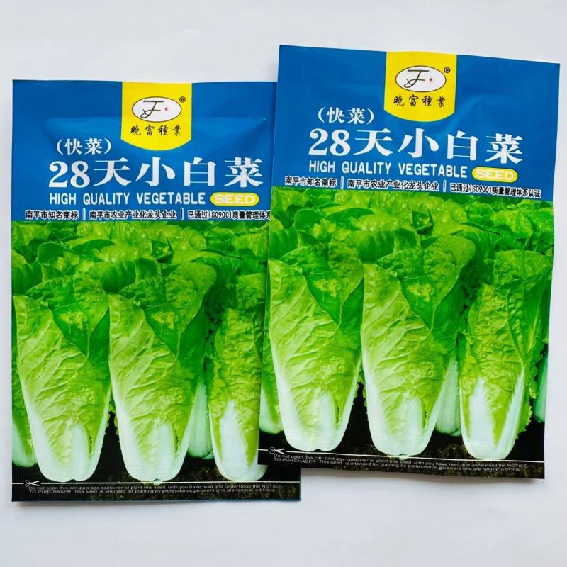 速生奶油快菜种子杂交白菜种子生长速度快口感好