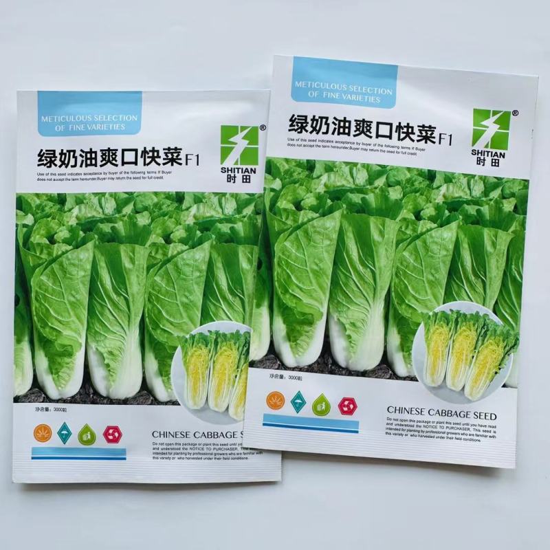 速生奶油快菜种子杂交白菜种子生长速度快口感好