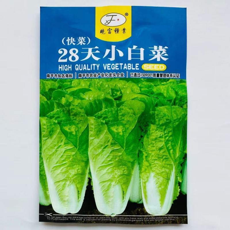 速生奶油快菜种子杂交白菜种子生长速度快口感好