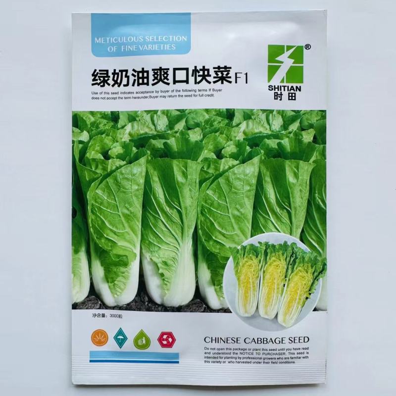 速生奶油快菜种子杂交白菜种子生长速度快口感好
