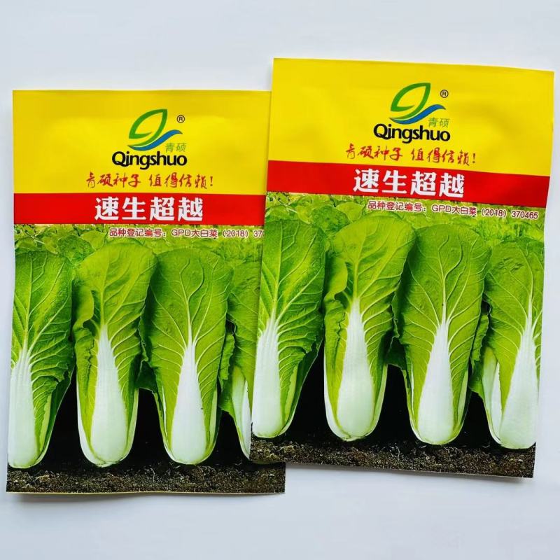 速生奶油快菜种子杂交白菜种子生长速度快口感好