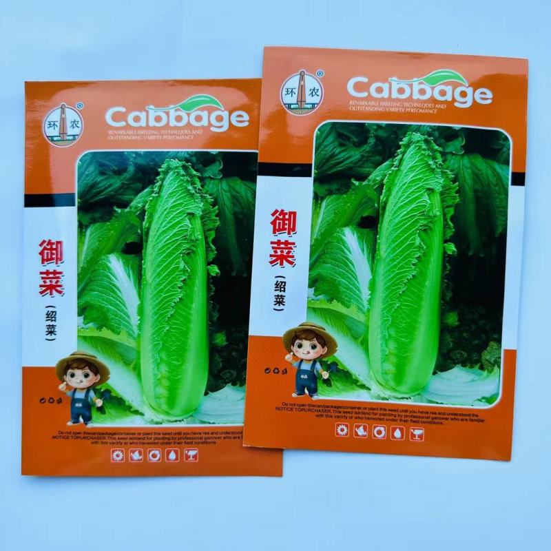 御菜种子水果白菜种子一代杂交种麻叶青白菜种子丰产抗病