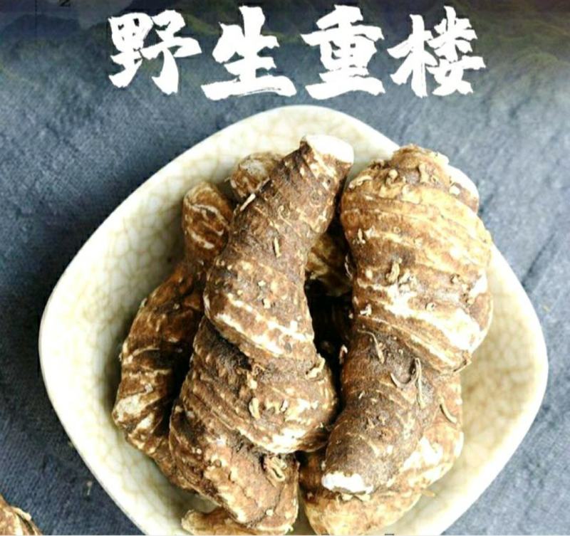 中药材重楼云南野生重楼七叶一枝花野生滇重楼包邮
