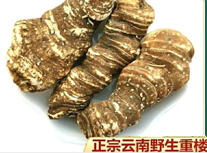 中药材重楼云南野生重楼七叶一枝花野生滇重楼包邮
